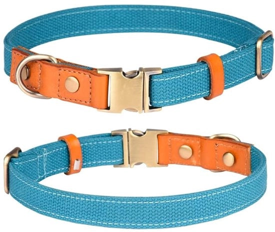 Cinturone per Cani - Flessibile - Nylon - Cerniera di Sicurezza Metallica - Leggero e Respirabile - Adatto per Cani Piccoli/Mediali/Grandi - Rapido asciugamento - Cinturone per Cani