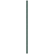 Membrana Antierbacce Verde 4x25 m in PP