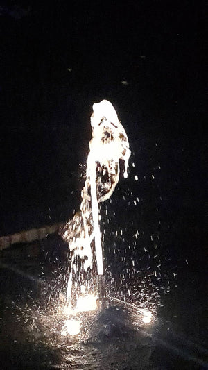 Pompa per Laghetto e Fontane con Gioco d’Acqua a Sorgente