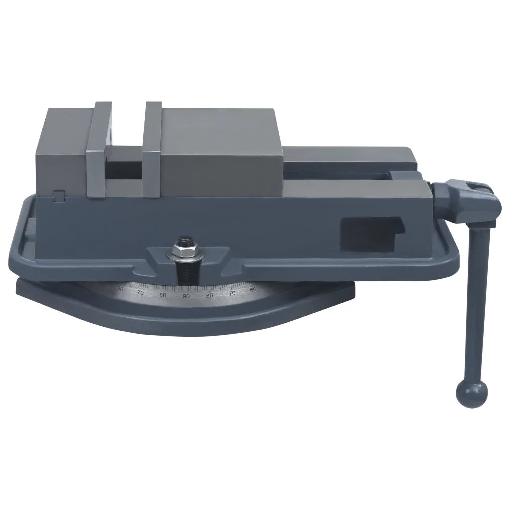 Morsa con Piattaforma Girevole in Ghisa 160 mm CFW3389850