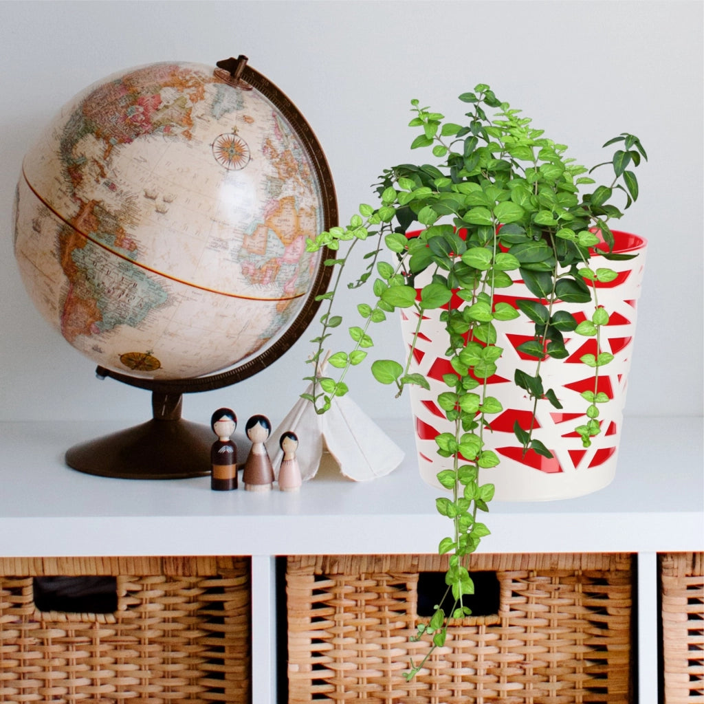 KADAX - Inserto in plastica per vaso di fiori e piante, 19 cm, rosso