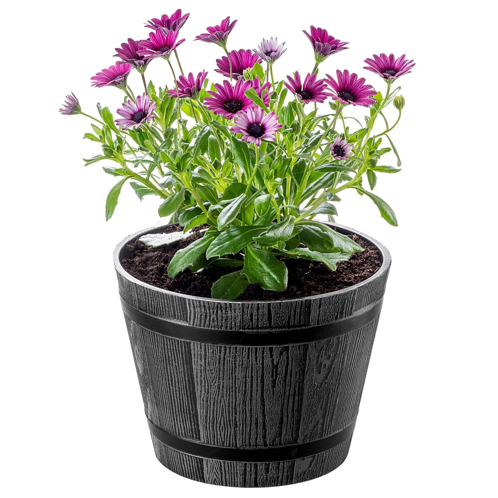 Vaso da fiori KADAX, vaso per fiori, copertura da giardino, rotondo, supporto per fiori in plastica, 23 cm