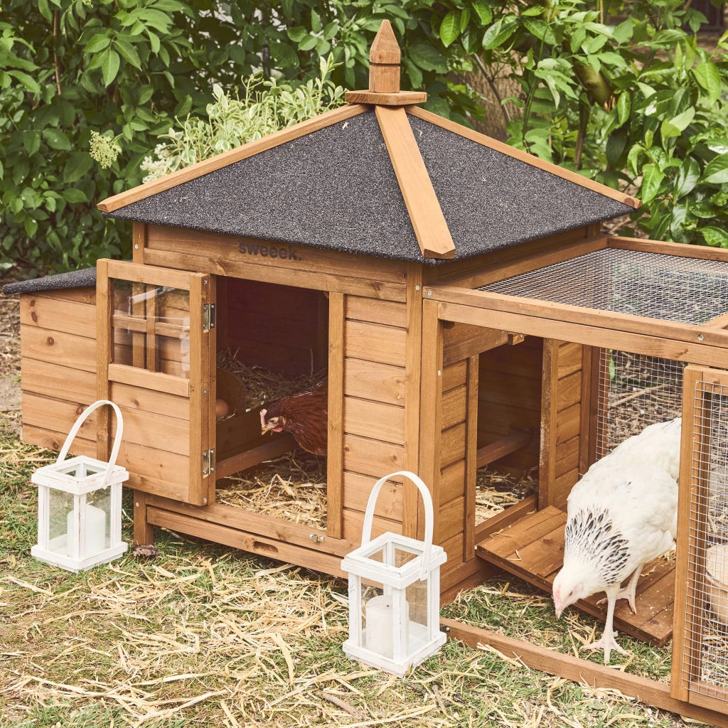 Pollaio in legno con recinto per 4 galline, marrone naturale