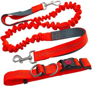 Cintura per cani handsfree con cinghia di cintura regolabile e corda bungee estensibile (manubrio grigio) con riflessi laterali