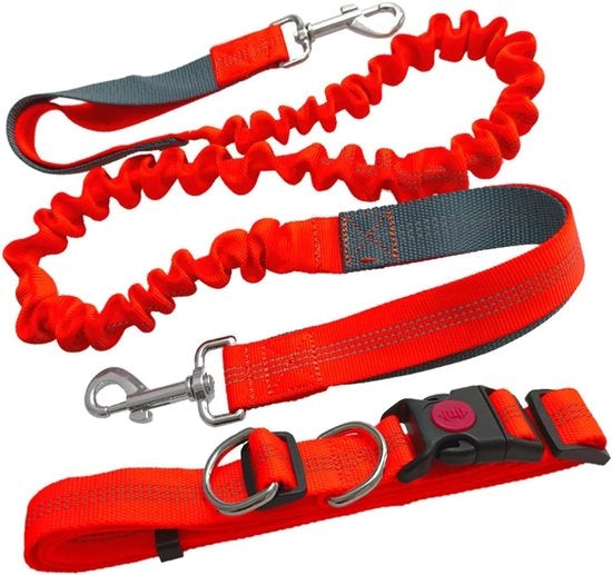 Cintura per cani handsfree con cinghia di cintura regolabile e corda bungee estensibile (manubrio grigio) con riflessi laterali