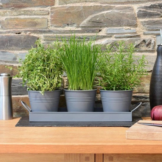 Set di piantine da interni di 3 contenitori per coltivare erbe fresche a casa, per vaso di finestra e cucina, per basilico, menta e prezzemolo.