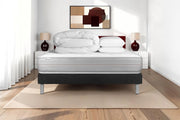Pacchetto letto completo - Materasso 160x200cm + Box spring con doghe (kit) + 2 cuscini + Piumino - Vitalmemo
