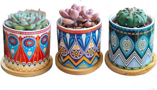 Piantine da interno set di 3 mini vasi con ciotola (mandala) e fondo di bambù con sistema di drenaggio