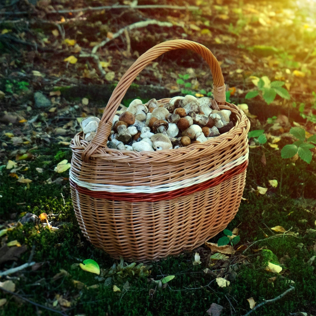 Cesto in vimini KADAX per funghi, spesa, picnic, frutta, vimini, grande, ecologico
