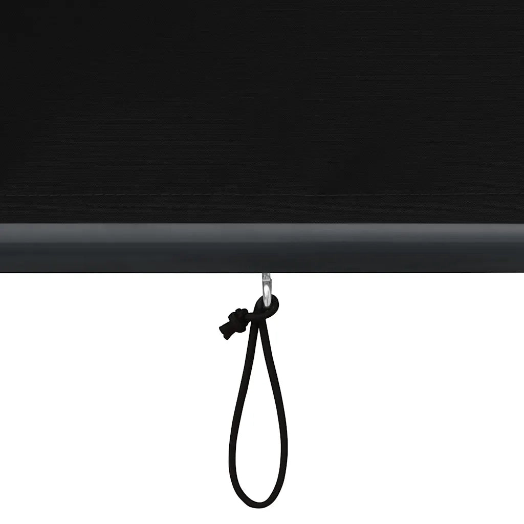 Tenda a rullo | Tenda avvolgibile per Esterni 120x250 cm Antracite