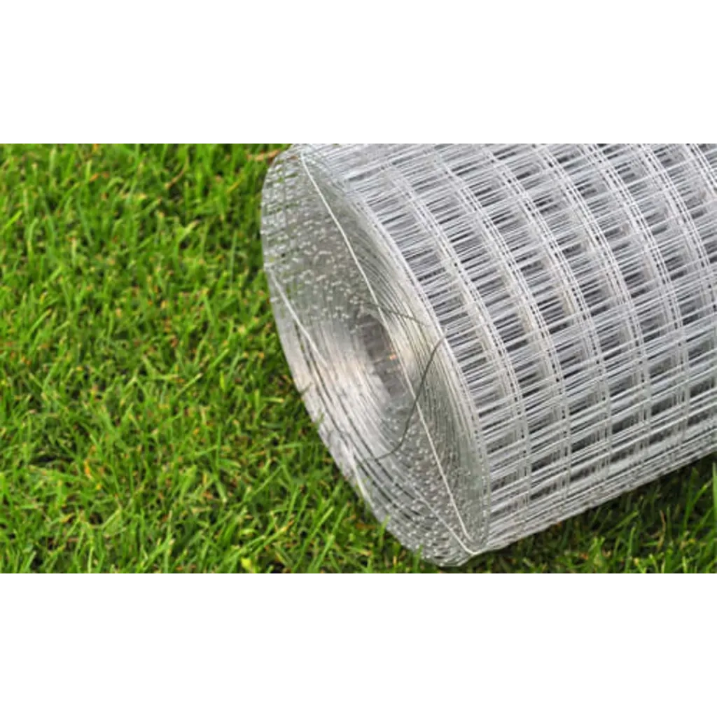 Recinzione in Rete per Pollaio Acciaio Zincato 10x1 m Argento 140427