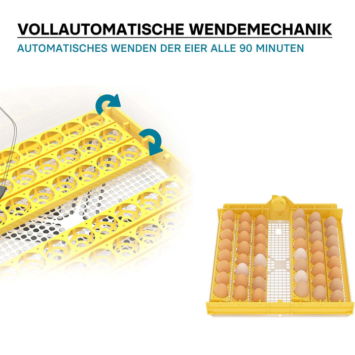Incubatrice automatica per 48 uova, con regolazione temperatura e umidità, Covatrice