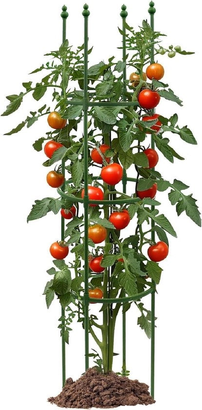 Sostegno per piante obelisco per piante rampicanti fiori di rose (140 cm)