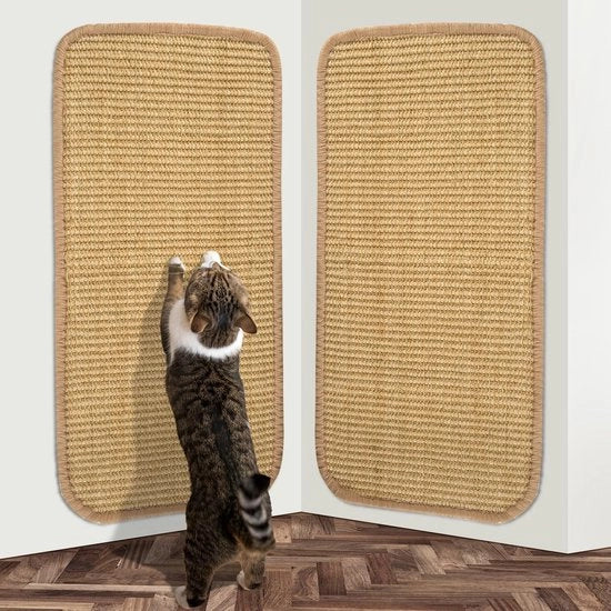 Mat per gatti in sisal, 2 pezzi, 50 x 25 cm