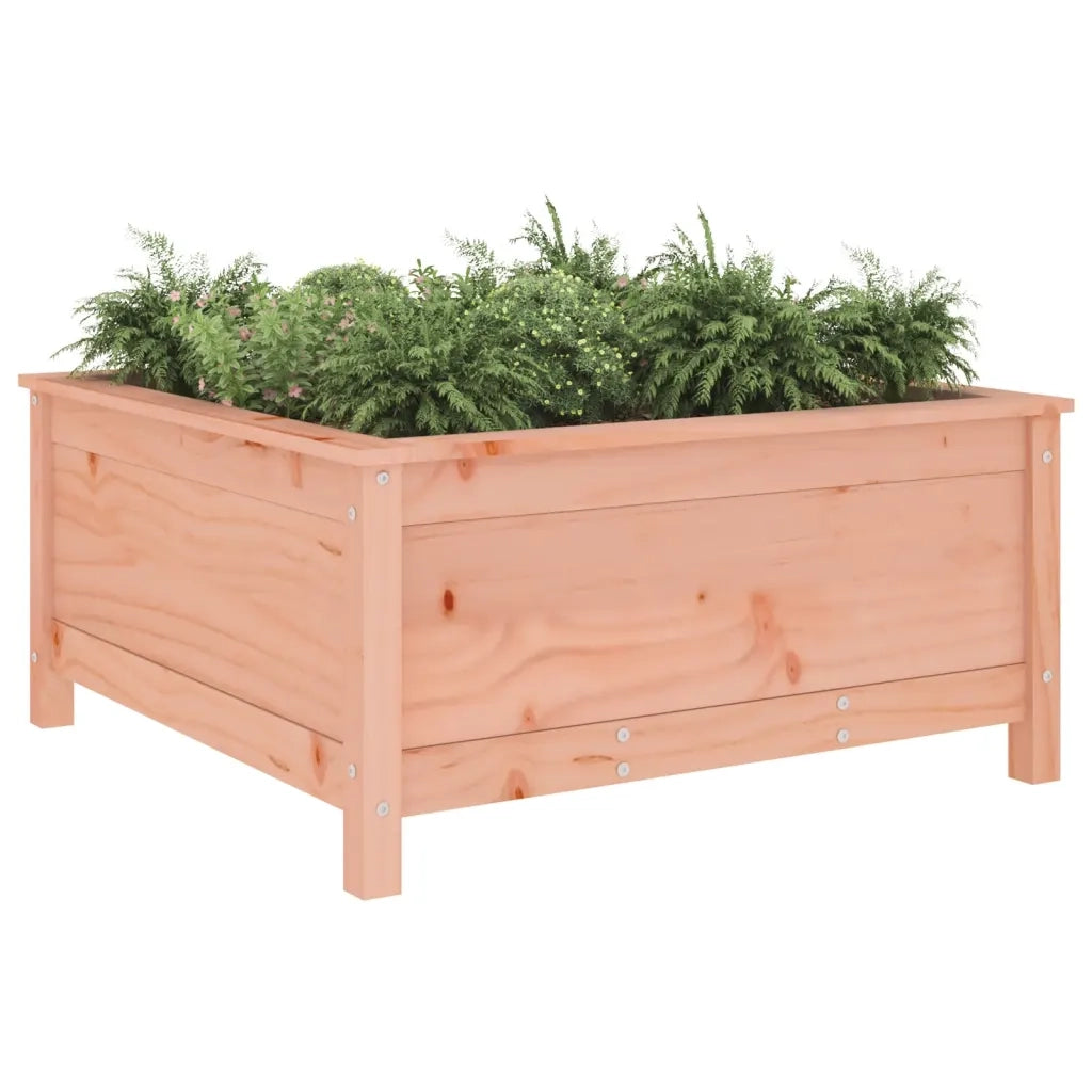 Fioriera da Giardino-Vaso da Esterno 82,5x82,5x39 cm in Legno Massello Douglas
