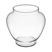 Terrario Bottle Garden Anfora per Terrario in vetro cm21x20h