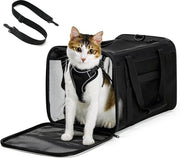 Cassa di trasporto per gatti morbida - approvata per uso aereo - gatti piccoli e medi fino a 6 kg - ripiegabile