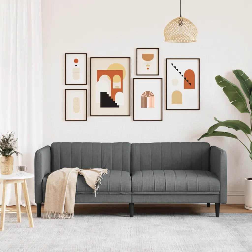 Divano | Divano da soggiorno | Sofa a 3 Posti Grigio Scuro in Tessuto