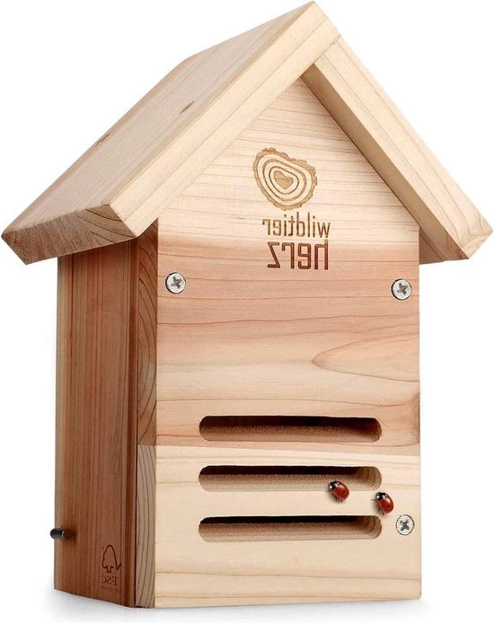 Abitacolo e riparo invernale per api per legno massello a viti - Casa apiaria