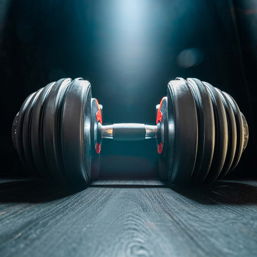 LUXTRI Manubrio regolabile max 24 kg con meccanismo girevole, per fitness allenamento forza