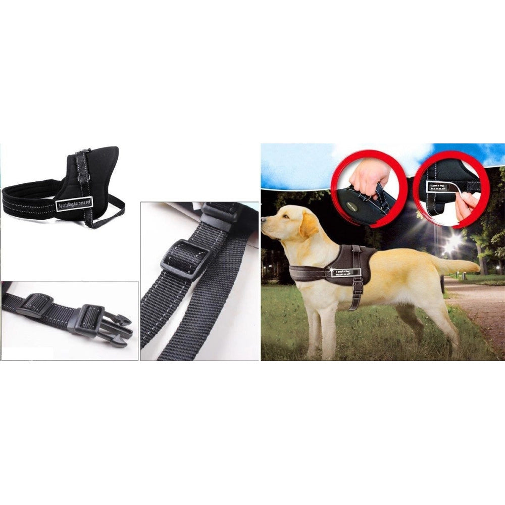 Trade Shop - Guinzaglio Addestra Cani Imbracatura Collare Cane Sports Dog Harness Set -