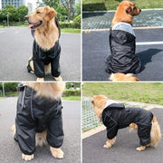 Impermeabile con Cappuccio Collo fori per Cani | Impermeabile, Riflettente e Pneumatico | Adatto per Razze Piccole, Medie e Grandi
