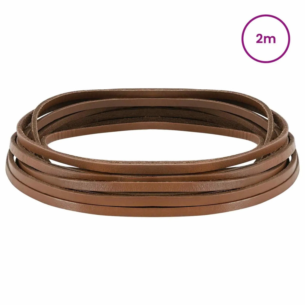 Cinturino in pelle Marrone 200 x 0,4 cm Pelle 42034202