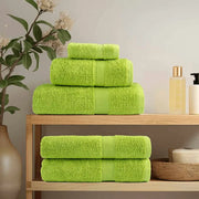 Asciugamano per Ospiti SOLUND 2 pcs Verde 15 x 21 cm 550 gsm 137488