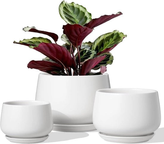 Pentole Ceramiche per Piante - Interno - Set da 3 - Bianco - 10, 13 e 16 cm