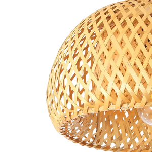 Lampada Da Soffitto Bamboo APP1638-1CP