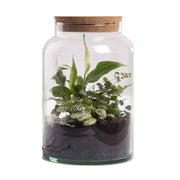 Terrario Bottle Garden Jar 5L cm18,5x18,5x26,3h -  terrario in barattolo di vetro