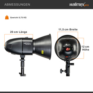 Newcomer 100 Set 2 flash fotografici con potenza di 100 Ws, con radio a 2,4 GHz, softbox 60 x 90 cm e treppiedi per luci, per studio fotografico