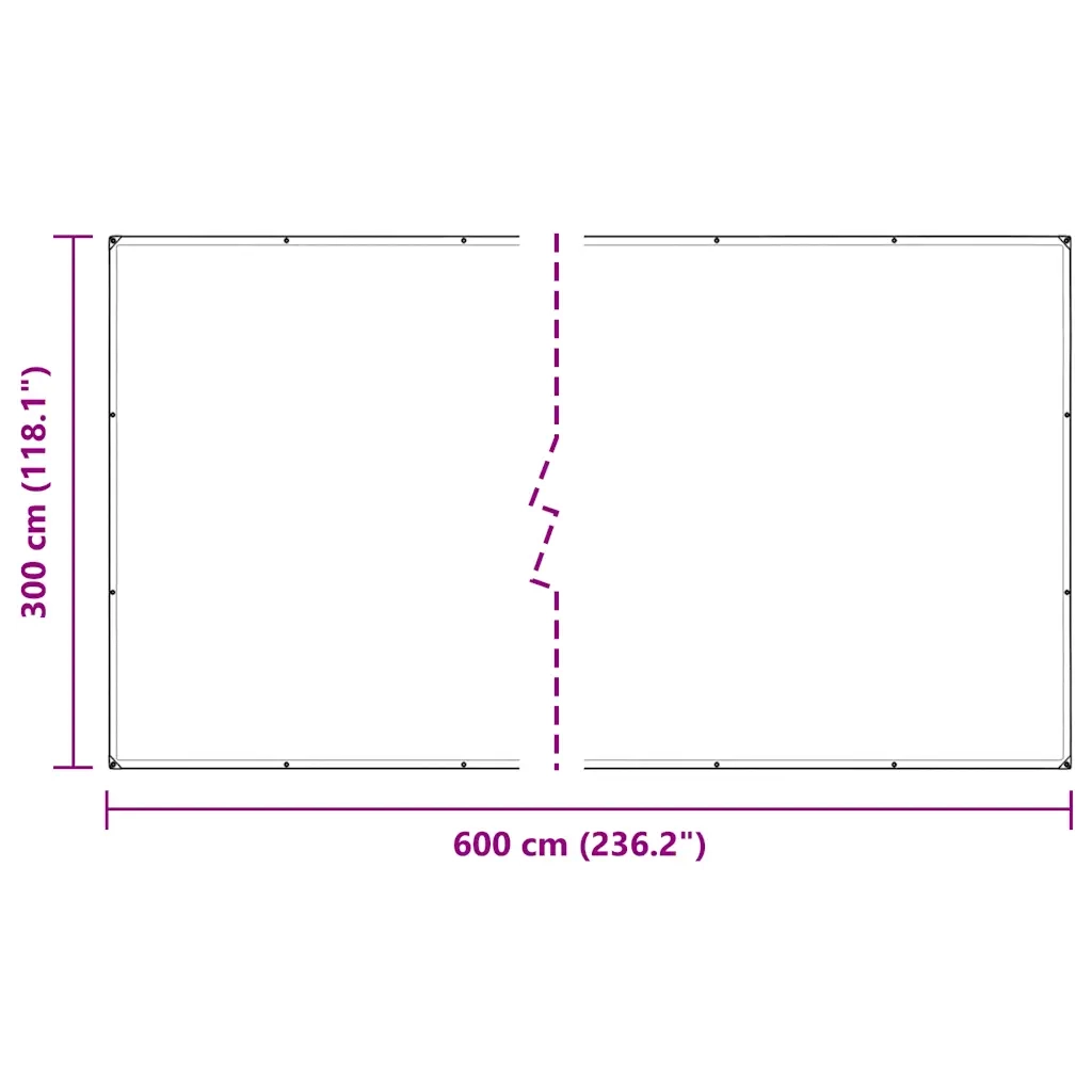 Telone Trasparente con Occhielli 3x6 m in Polietilene