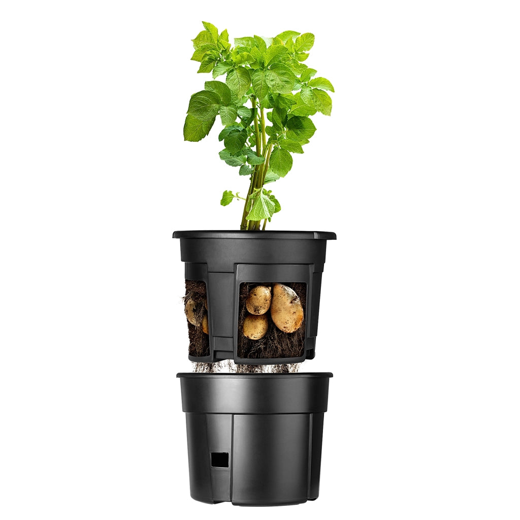Vaso KADAX per piantare patate e ortaggi, con coperchio e inserto, 41 cm, 28 litri.