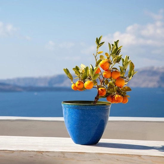 Supporto per Piante in Ceramica Basso - Blu Marino - Design Santorini Ø 395 cm x H 335 cm