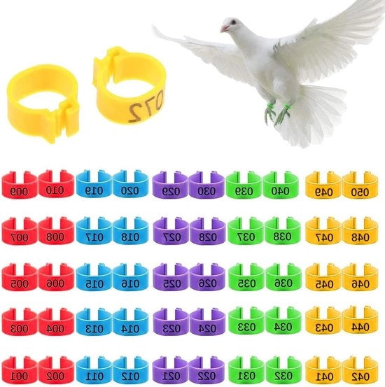 Imposte per pollame - Set di 50 anelli colorati (20 mm) per galline, colombi e pulcini