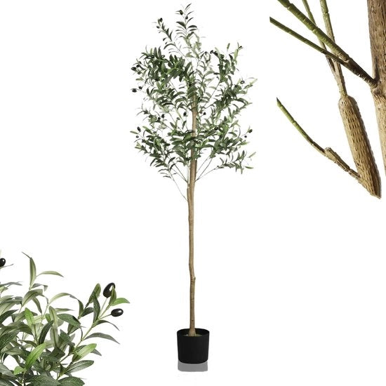Albero di Olivo Artificiale - Decorativo - 180 cm - Materiale di Alta Qualità Poliestere