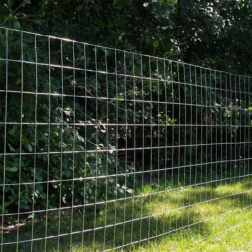 Rete Metallica Elettrosaldata 2 x 25 mt Maglia 50x75mm Zincata per Recinsione