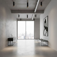 Lampada Da Soffitto Black Gold 30 Cm APP572-1C