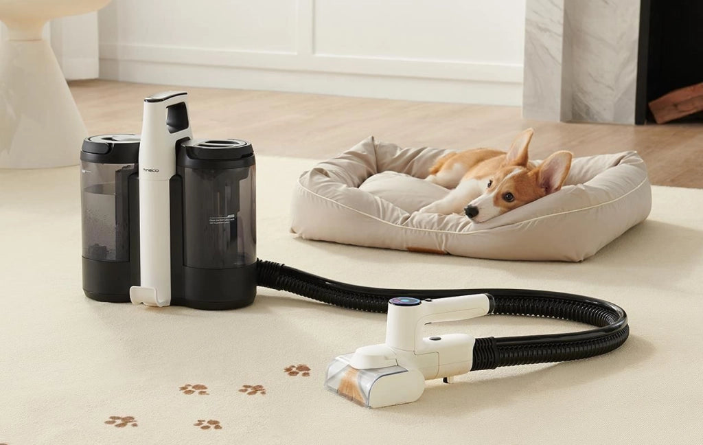 Tineco Carpet One Spot macchina per pulire il tappeto Portatile Nero, Bianco