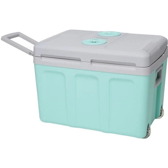 Raffreddatore termoelettrico - EZA - 40L