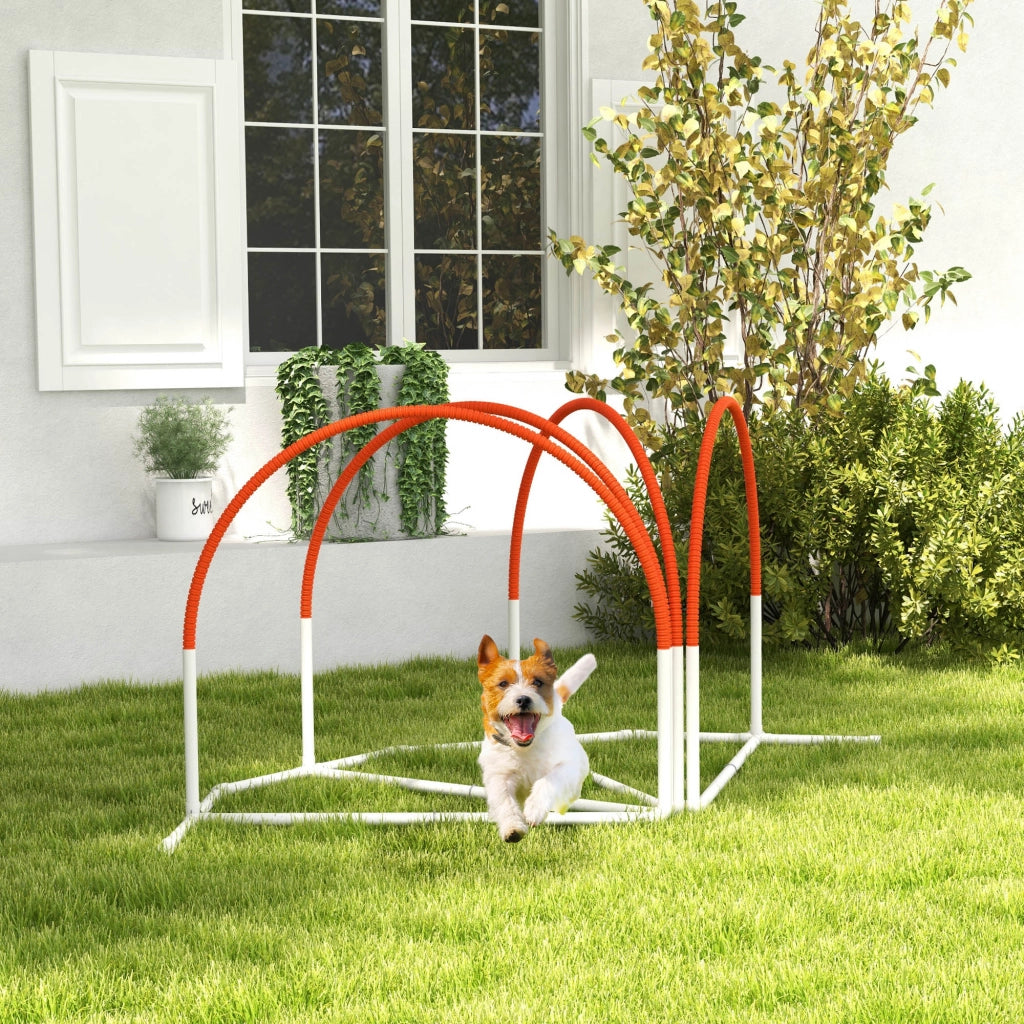 Set Agility Dog 4 Pezzi con Picchetti ¨C zephmum ¨C Bianco e Arancione, 89x69x99 cm