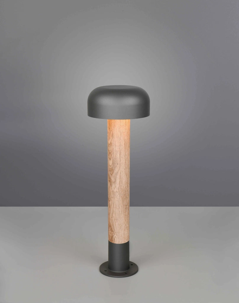 Palo da esterno, alluminio, antracite e legno, H 54 cm, Fraser
