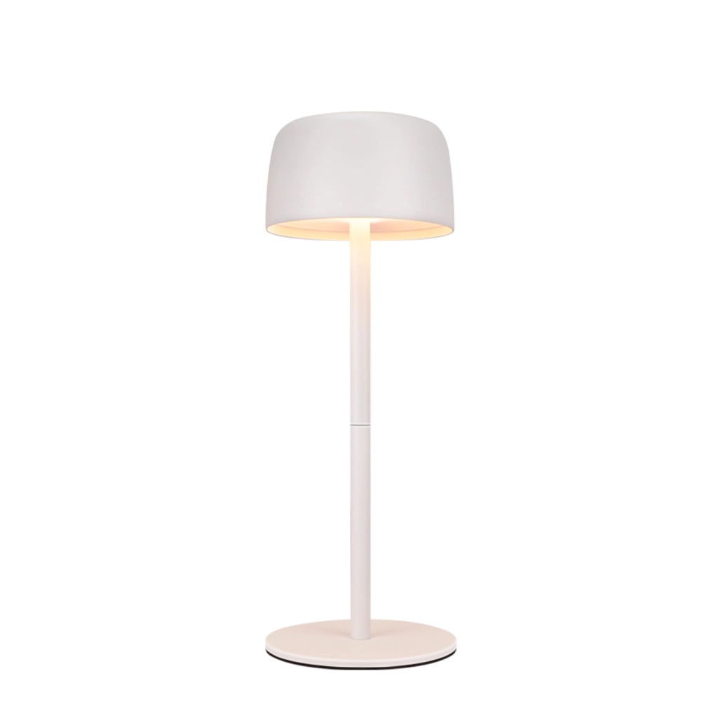 ZMH Lampada da tavolo LED set 2 pezzi wireless dimmerabile 3 temperature altezza regolabile per camera letto soggiorno