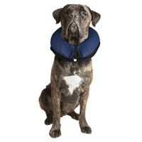 Collare di protezione per animali gonfiabile taglia m