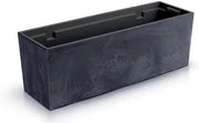 Pianta in Cemento con Dimensioni del Contenitore (mm) 580 x 180 x 195 Anthracite