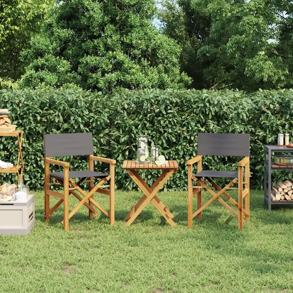 vidaXL Sedie da Regista Pieghevoli 2 pz Grigio Legno Massello di Teak
