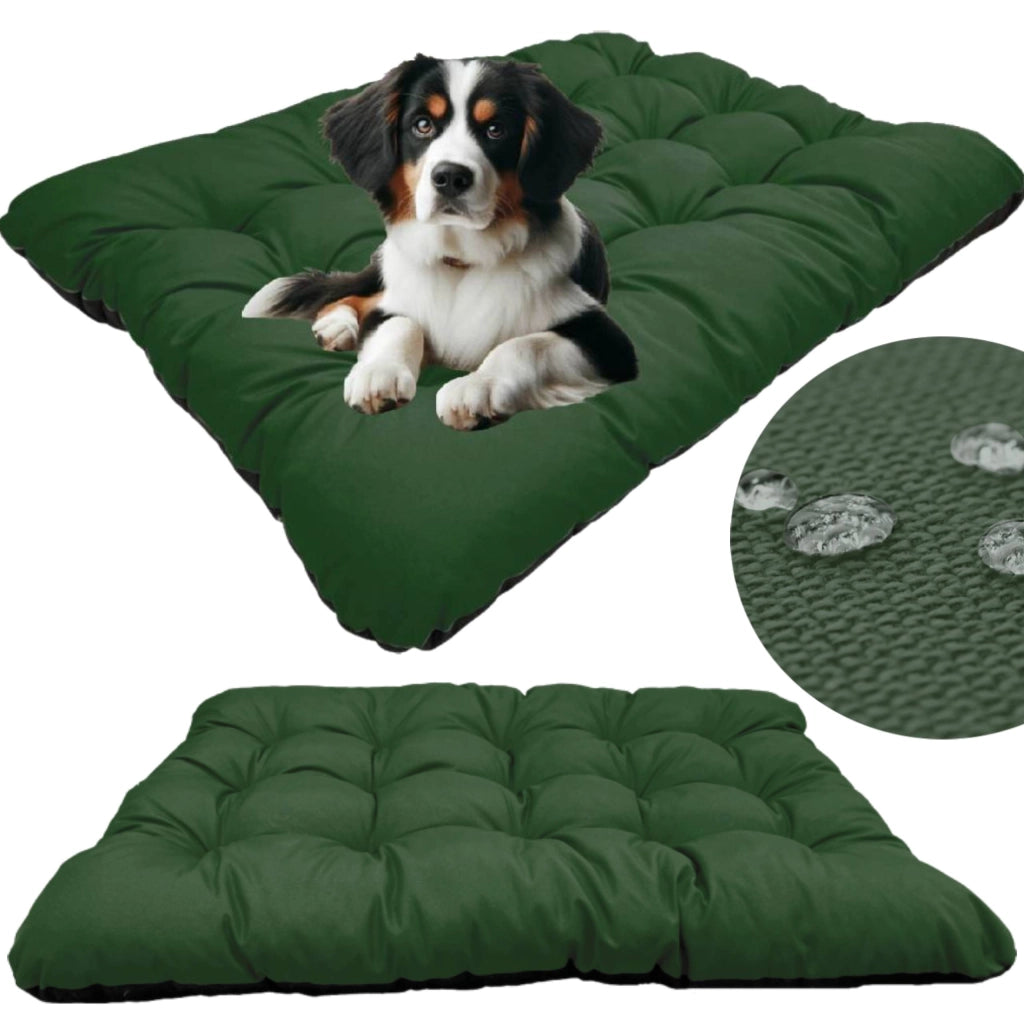AIO FACTORY 100x70 cm PRESTIGE Cuccia per cani impermeabile personalizzabile Verde