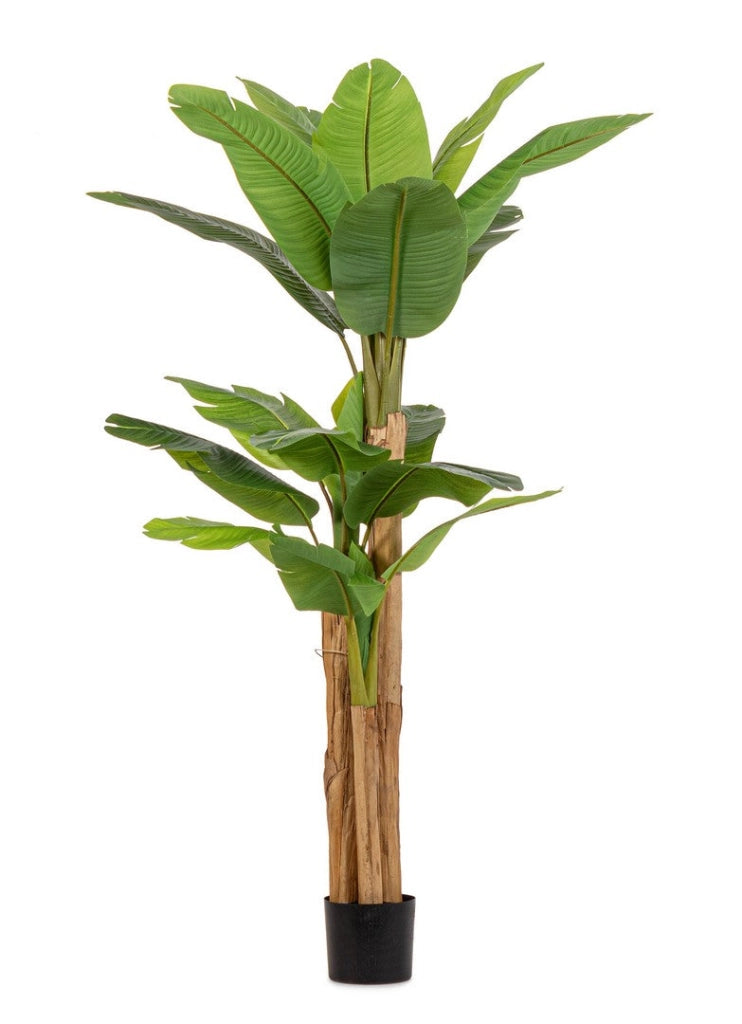 Pianta Artificiale di Banano 115x120x200 cm in Plastica con Vaso Verde