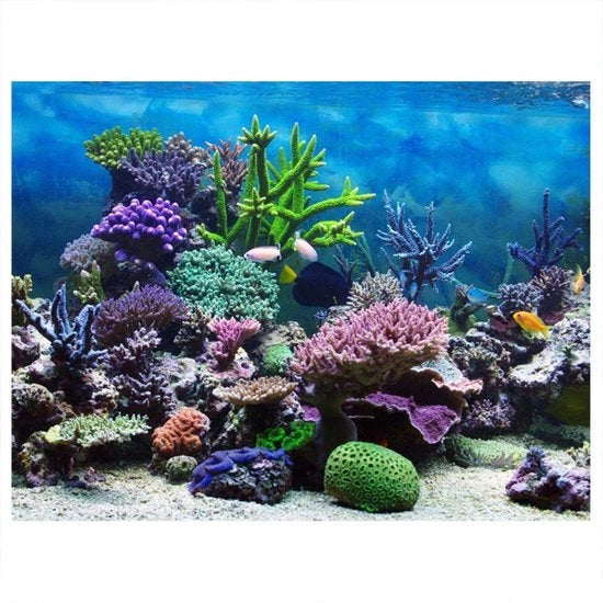 Decorazione per acquario 3D - Poster PVC - Impermeabile - Adesivo - Facile da pulire (61 x 41 cm)